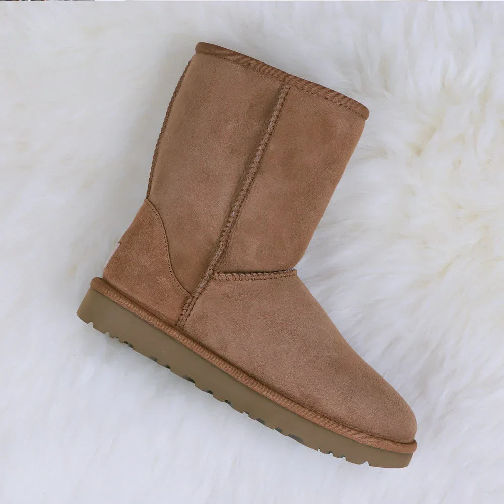 48673052066124|48673052098892|48673052131660|48673052164428|48673052197196|48673052229964